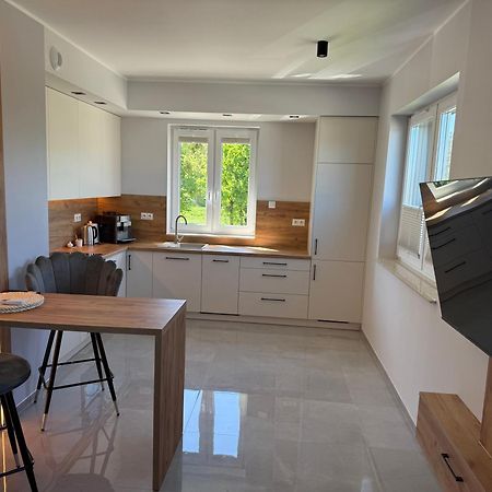 Apartament Nad Barycza Milicz Εξωτερικό φωτογραφία